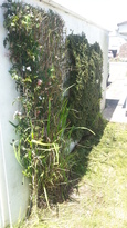 thumb_20140604_141058.jpg