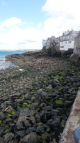 thumb_20140604_151944.jpg