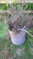 thumb_20140604_175841.jpg