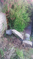 thumb_20140604_175850.jpg