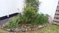 thumb_20140605_210532.jpg