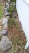 thumb_20140605_210603.jpg