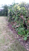 thumb_20140605_210652.jpg