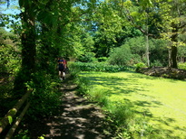 thumb_20140619_153619.jpg