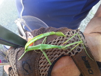 thumb_20140619_173900.jpg