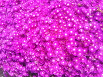 thumb_20140622_122238.jpg