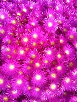 thumb_20140622_122243.jpg