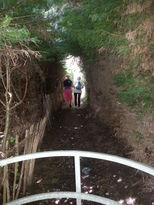 thumb_2014-07-02_11.00.54.jpg