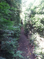 thumb_2014-07-02_11.01.32.jpg