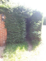 thumb_2014-07-02_11.02.35.jpg