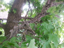thumb_2014-07-02_13.57.00.jpg