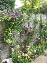 thumb_2014-07-06_10.31.57.jpg