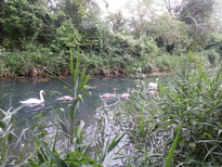 thumb_2014-07-12_19.50.56.jpg