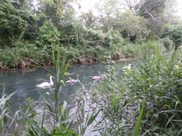 thumb_2014-07-12_19.50.58.jpg