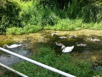 thumb_2014-07-15_15.20.55.jpg