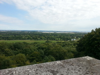 thumb_2014-07-27_11.31.20.jpg