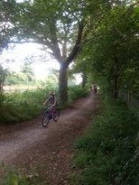 thumb_2014-08-03_11.50.00.jpg