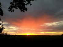 thumb_2014-08-04_20.39.05.jpg