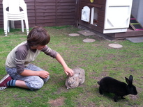 thumb_2014-08-06_18.23.19.jpg