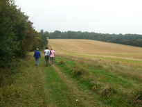 thumb_2014-09-05_11.43.29.jpg