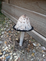 thumb_2014-09-13_15.55.55.jpg