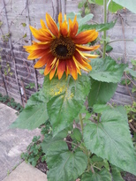 thumb_2014-09-27_08.39.57.jpg