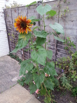thumb_2014-09-27_08.40.09.jpg
