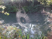thumb_2014-10-03_09.33.26.jpg