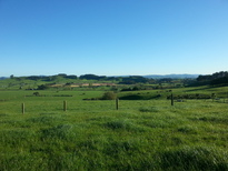 thumb_2014-10-25_07.55.31.jpg