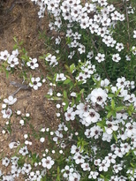 thumb_2014-10-31_12.44.55.jpg