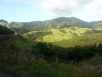 thumb_2014-11-01_07.52.52.jpg