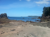 thumb_2014-11-01_16.10.39.jpg