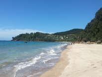 thumb_2014-11-02_12.44.17.jpg