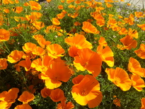 thumb_2014-11-02_16.27.09.jpg