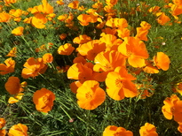 thumb_2014-11-02_16.27.33.jpg