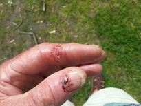 thumb_2014-11-04_09.50.32.jpg