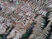 thumb_2014-11-14_10.20.21.jpg