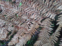thumb_2014-11-14_10.20.22.jpg