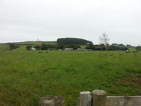 thumb_2014-11-17_09.29.26.jpg