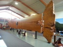 thumb_2014-11-21_09.56.40.jpg