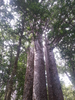 thumb_2014-11-22_11.30.01.jpg