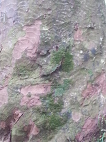 thumb_2014-11-22_11.31.14.jpg