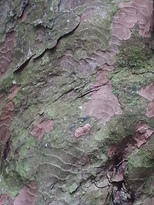 thumb_2014-11-22_11.31.39.jpg
