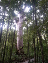 thumb_2014-11-22_11.32.20.jpg