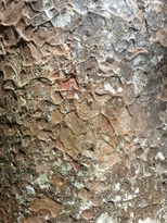thumb_2014-11-22_11.37.55.jpg