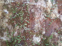 thumb_2014-11-22_11.38.53.jpg