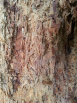 thumb_2014-11-22_11.55.59.jpg