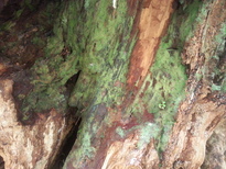 thumb_2014-11-22_11.57.02.jpg
