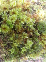 thumb_2014-11-22_12.44.18.jpg