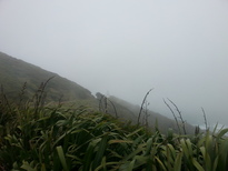 thumb_2014-11-24_13.03.59.jpg
